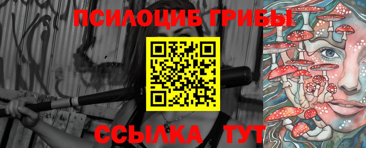 Псилоцибиновые грибы ЛСД  Вход с VPN  цена наркотик  Псилоцибиновые грибы Psilocybine cubensis  Черкесск 